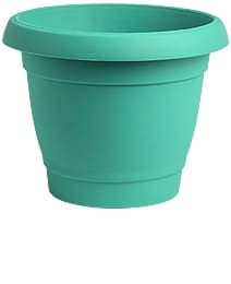 עציץ כרמל 22 סמטורקיז