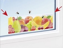 4 י"ח מדבקה לחלון ללכידת חרקים מעופפים 4 י"ח מדבקה לחלון ללכידת חרקים מעופפים