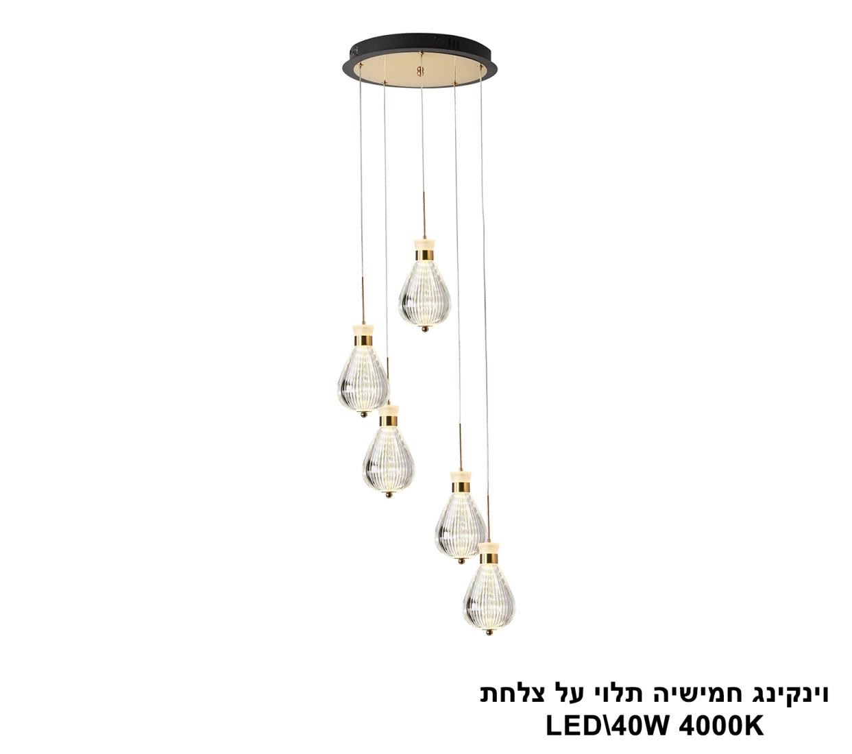 וינקינג חמישיה תלוי על צלחת וינקינג חמישיה תלוי על צלחת