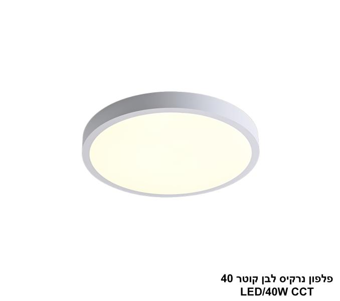 פלפון נרקיס לבן קוטר CCT 40 פלפון נרקיס לבן קוטר CCT 40